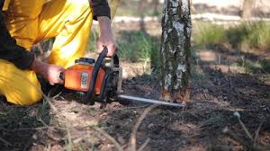 Best Arborist Consultation Services  in North Utica, IL